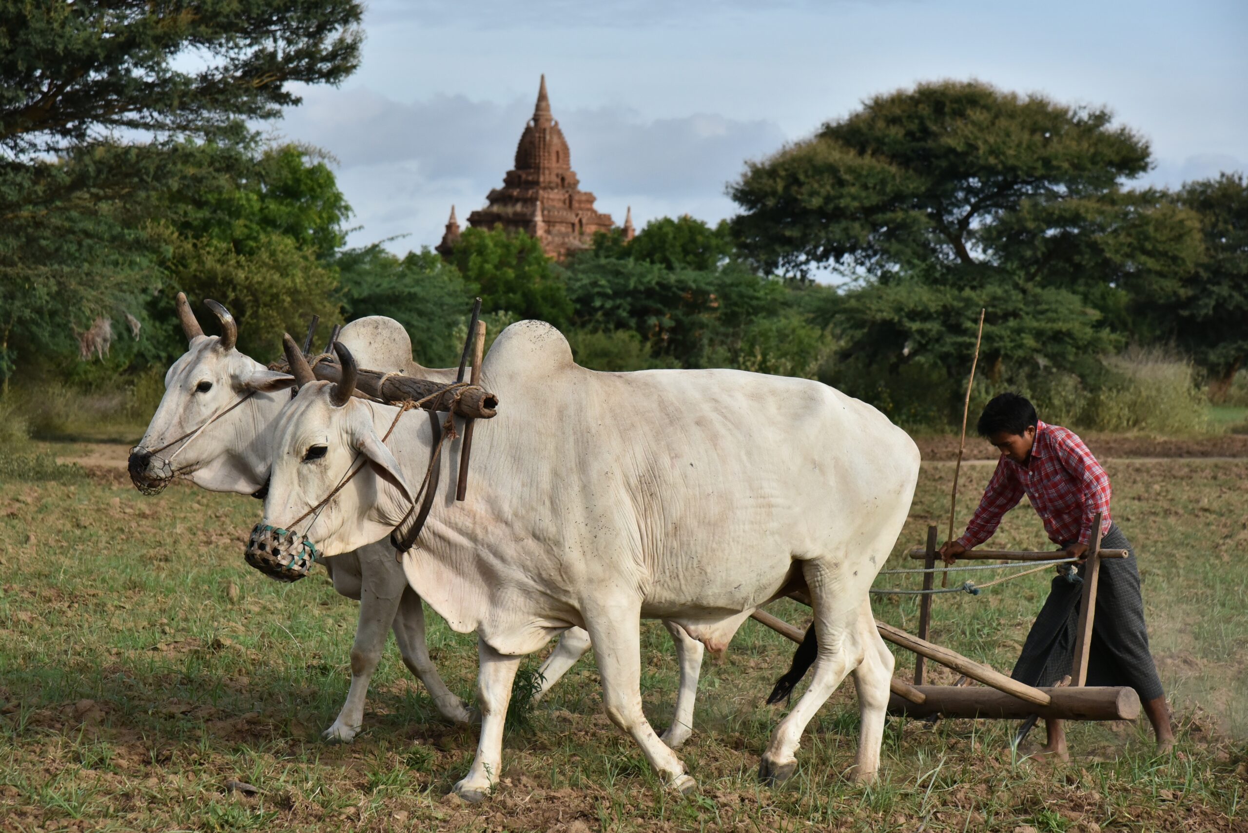 Pastor in Myanmar ermordet